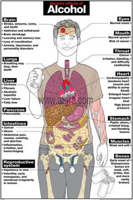 The Harmful Effects Of Alcohol Poster Clinical Charts And Supplies