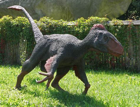 Check spelling or type a new query. File:Utahraptor - JuraPark Baltow.JPG - Wikimedia Commons