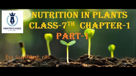 Nutrition In Plants Class 7 Ncert Modes Of Nutrition Heterotrophs And