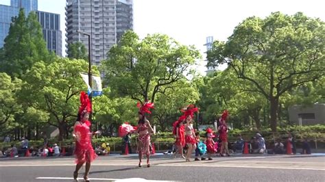 Escola De Samba Kobecco ～第47回神戸まつり・おまつりパレード～ Youtube