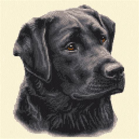They might be of particular interest if you are looking to make an inexpensive gift for someone, a fete or stall item, or a quick and easy project. Black Labrador Cross Stitch Kit - Cross Stitch Patterns