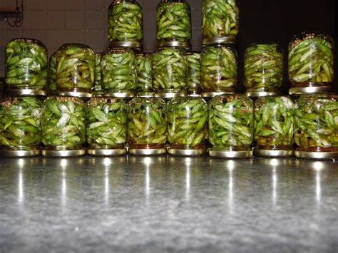 Boutons de fleurs dail des ours en condiments