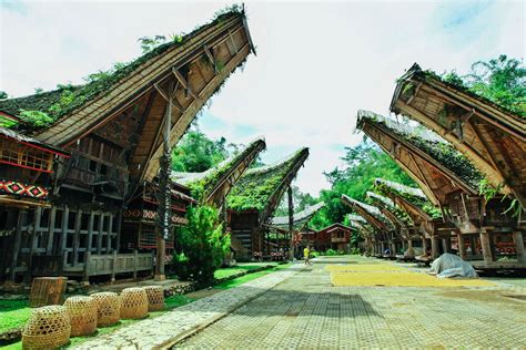 4.5 / 5 ( 28 votes ). Tongkonan, Inilah Rumah Adat tertua di Toraja | Indonesia ...
