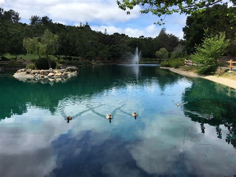 Visita Menlo Park El Mejor Viaje A Menlo Park California Del 2023