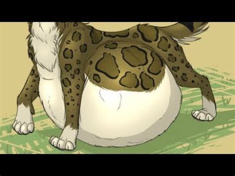 Cat Belly Vore With Digestion Sounds Youtube