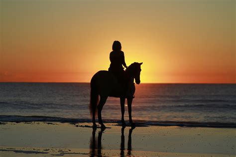 Best Beach Horseback Riding Tips Horseandrider