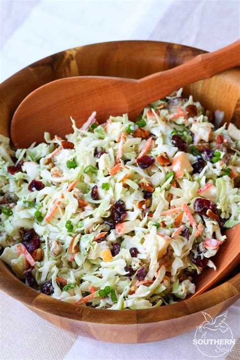 In a large bowl, toss vegetables, apple and pecans together. Cranberry Pecan Slaw | Slaw recipes, Salad recipes, Salad
