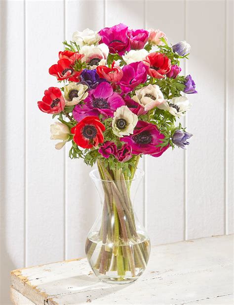 Anemones Bouquet Mands Flower Room Decor Flower Delivery Anemone