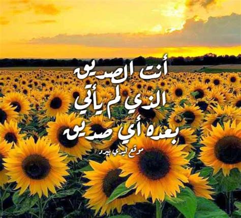 الصّديق الحقيقيّ هو من يعرف ماهو شعورك في أول دقيقة عندما يلتقي بك، على النّقيض من بعض الأشخاص الذين تعرفهم منذ سنين طويلة. مدح الخوي الكفو ابيات شعر مدح قويه