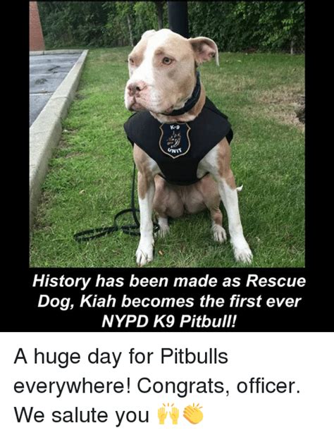 25 Best Memes About Pitbulls Pitbulls Memes