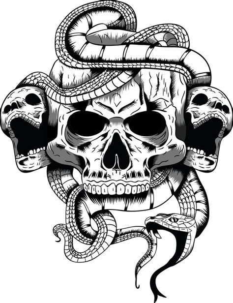 Skull Illustration By Arrtman On Deviantart