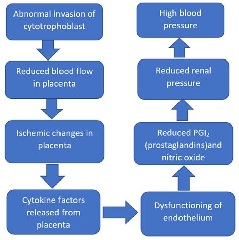 Cureus Study Of Histopathological Changes In The Placenta In Preeclampsia