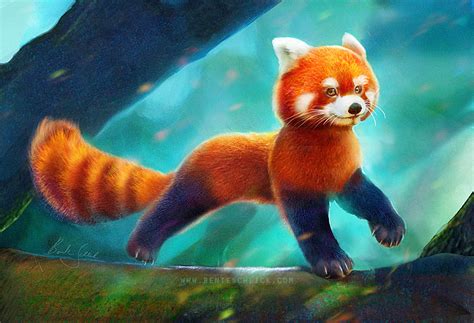 Red Panda Bente Schlick Illustrator And Concept Artist Fantasy Art