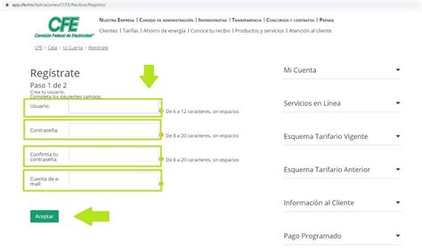 Consultar Recibo De Luz Cfe F Cil Y Rapido Hot Sex Picture