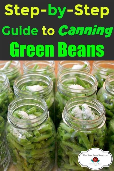 Maintain the quality of your meat and know what's in it by canning it yourself but sterilize it using a pressure canner to avoid severe illness or even death. How to Can Green Beans in a Pressure Canner | Can green ...