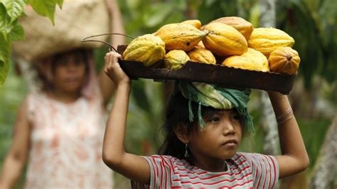 Most Of Worlds Chocolate Comes From Child Labor 15 Million Children