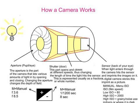 How a Camera Works | How camera works, Photography for beginners, Camera