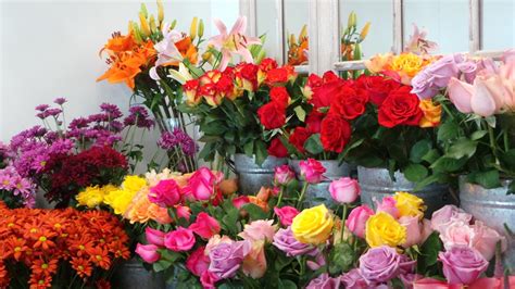 How To Look For The Best Flower Shops Online