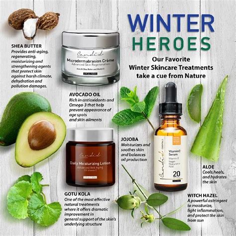 “shield Your Skin From Winter Get Yourself These All Natural Skin Care
