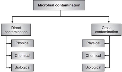 Sources And Types Of Microbial Contaminant Solution Parmacy