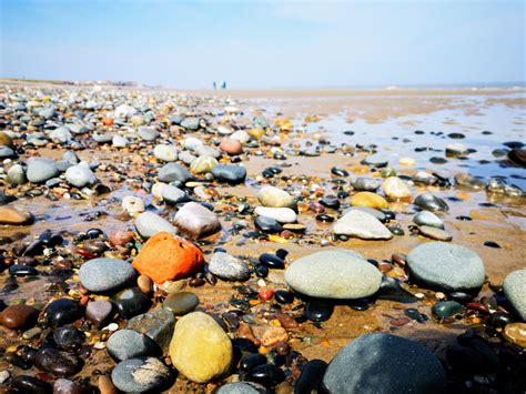 Spurn National Nature Reserve United Kingdom