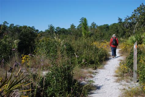 Wekiwa Springs Hiking Trail Florida Hikes
