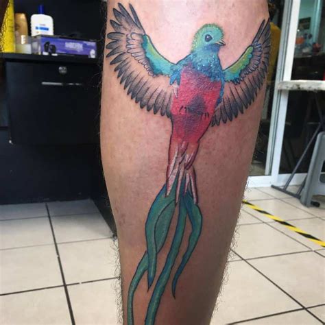 quetzal bird tattoos meaning designs and history quetzal bird tattoo