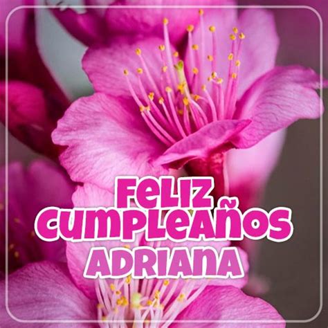Feliz Cumpleaños Adriana Imagenessu