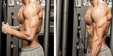 Want Big Arms Hit Your Triceps More Often