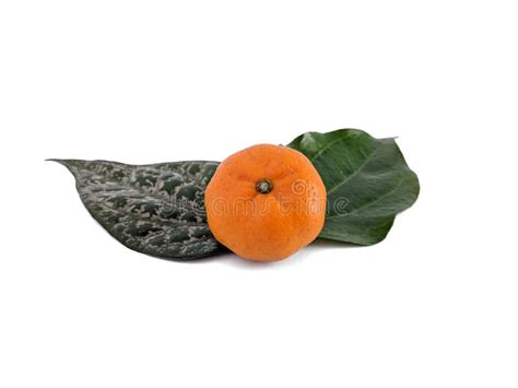 Tangerine Mandarin Orange And Green Leaves Isolated On White Background