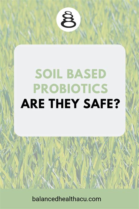 Soil Based Probiotics Are They Safe — Balanced Health Acupuncture