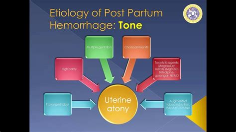 Post Partum Hemorrhage Ppt And Explanation Youtube Hot Sex Picture