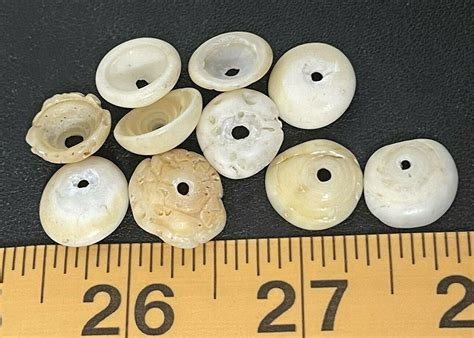 10 Original Cherokee Indian Conch Shell Trade Bead Ancient Artifact