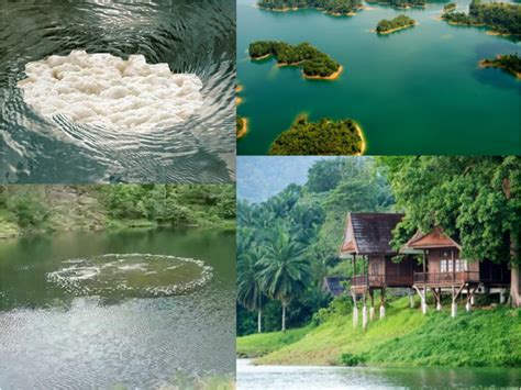 Lepas banyak khabar angin, akhirnya seorang pemancing berjaya merakam gerangan makhluk sulur bidar ini. Lagenda Sulur Bidar Tasik Kenyir Hanya Mitos Atau Benar ...