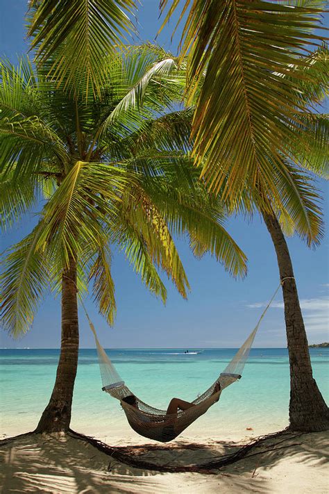Beach With Palm Trees And Hammock