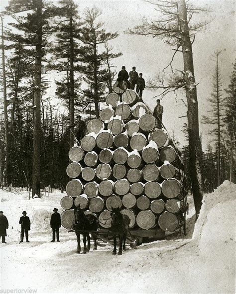 33 Best Logging In The 1800s Images On Pinterest Lumberjacks