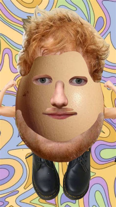 Egg Sheeran Edsheeran Egg Aesthetic Love Vintage Super Funny Pictures Funny Profile