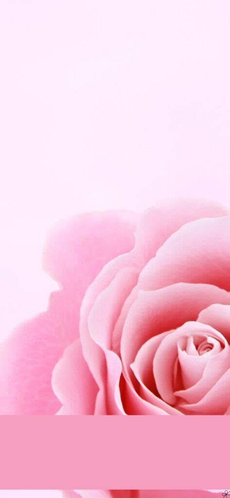 Pink Aesthetic Wallpaper For Iphone 47 Gorgeous And Cute Backgrounds