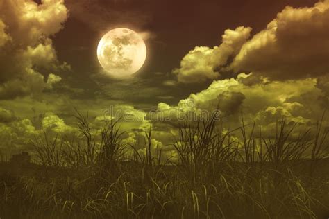 Bright Full Moon Above Wilderness Area Serenity Nature Background