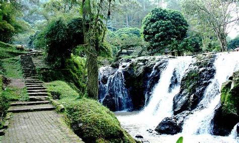 Tempat menarik di mersing bisa memberikan anda dan keluarga kenyamanan dan kepuasan bercuti yang tidak akan anda dapatkan di tempat lain. TAMAN WISATA ALAM MARIBAYA ~ Indonesia itu Indah