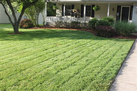 6 Tips To A Great Lawn - Without Chemicals! - Old World Garden Farms