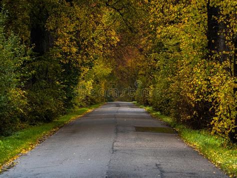 Road In The Autumn Forest In Rain Asphalt Road In Overcast Rainy Day