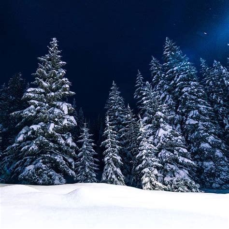 Some Things Are Even More Beautiful At Night I Think Snow Covered