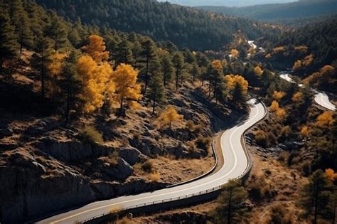 Premium Photo Vertical Shot Of A Winding Road Surrounded
