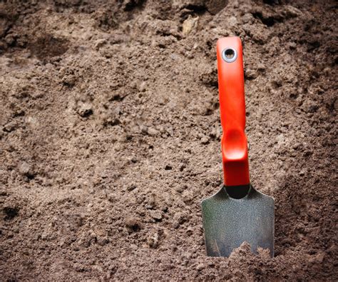 Not all plants which need soil to grow, are created equally. How to Do a Soil Test | Blain's Farm & Fleet Blog