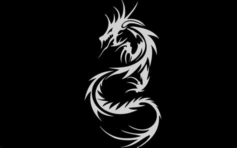 Black And White Dragon Wallpaper 67 Images