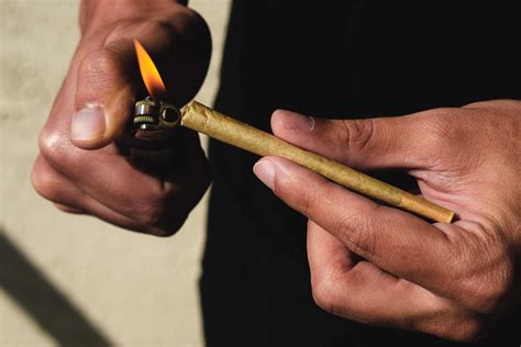 What Is A Cannabis Pre Roll MÜv