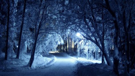 Winter Winter Wallpaper 43083513 Fanpop