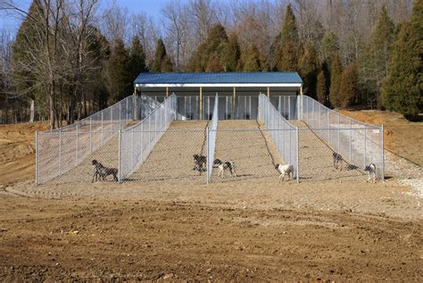 30 Clever Designs Of How To Build Backyard Dog Kennel Ideas Simphome