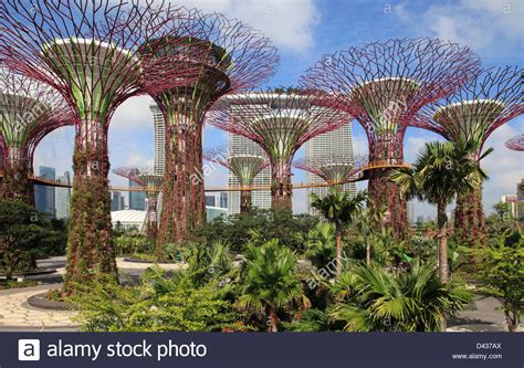 Gardens by the bay is an institution of public character and registered charity under the charities act, and is proud to receive the charity transparency award 2019. Singapore, Gardens by the Bay, Marina Bay Sands Resort ...